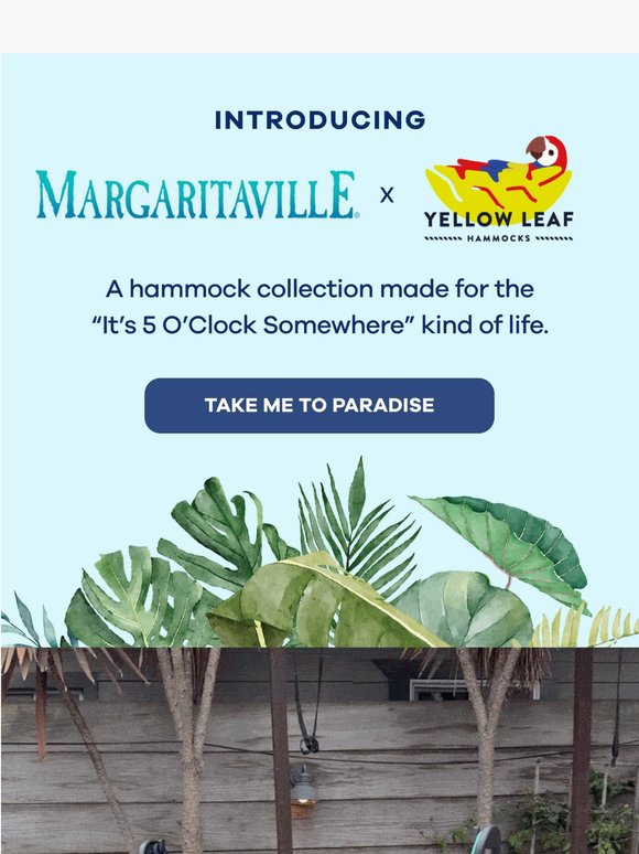 INTRODUCING: Margaritaville x Yellow Leaf 🌴🍹