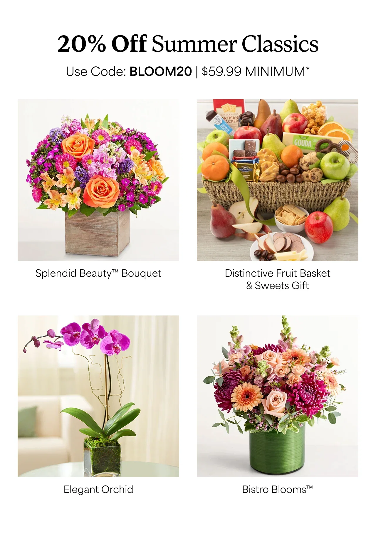 20% Off Summer Classics | Use Code: BLOOM20