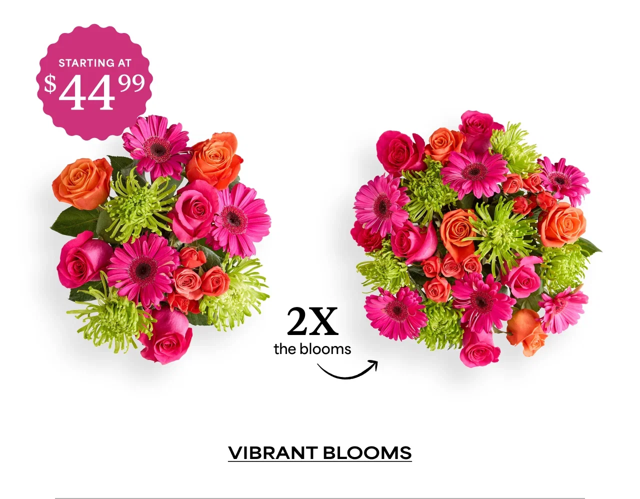 Vibrant Blooms