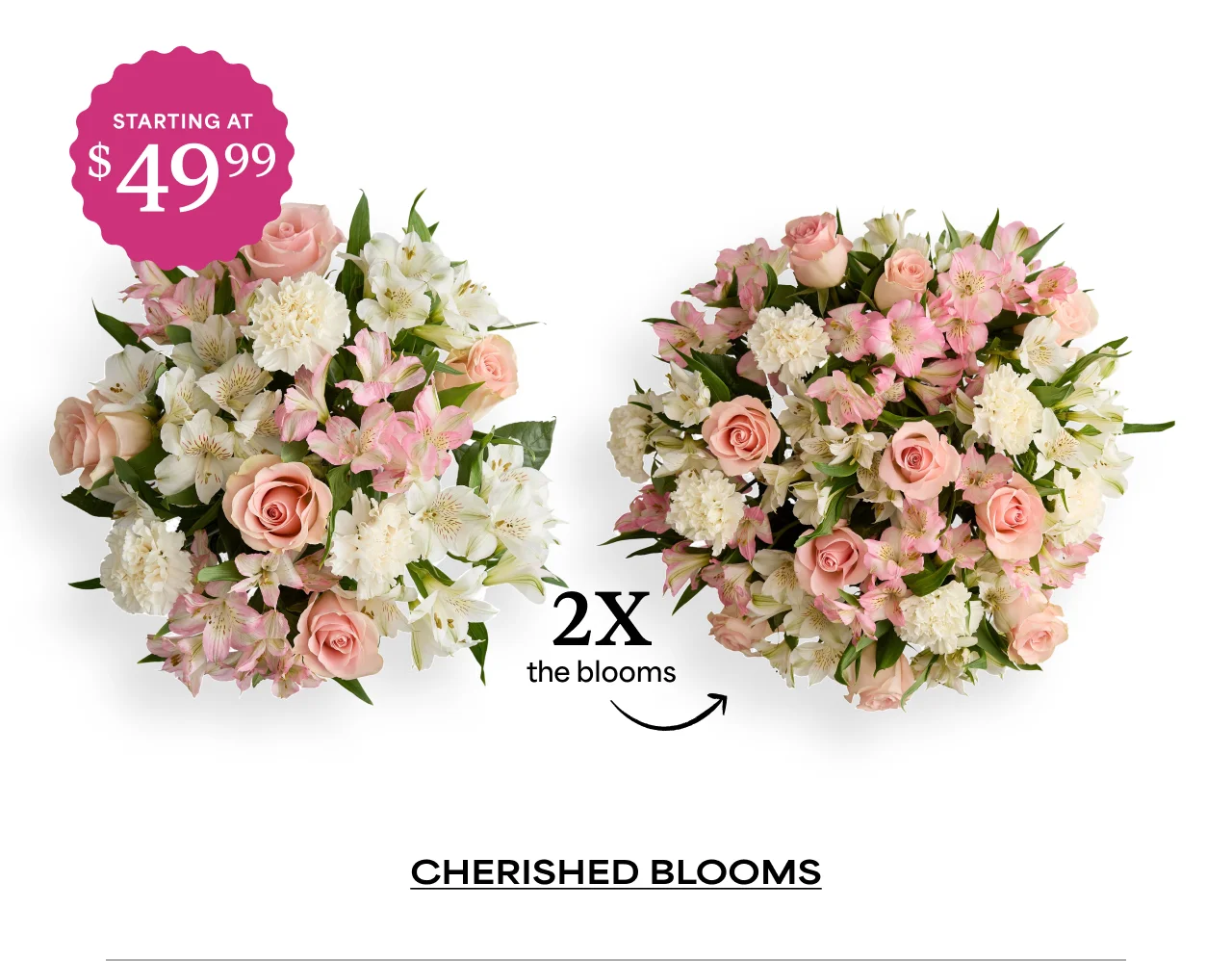 Cherished Blooms