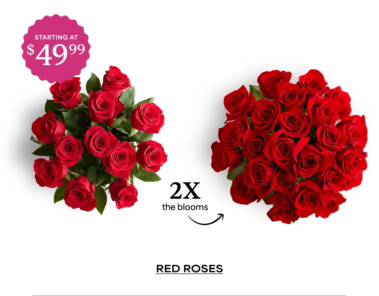 Red Roses