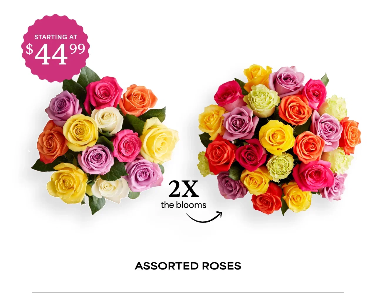 Assorted Roses