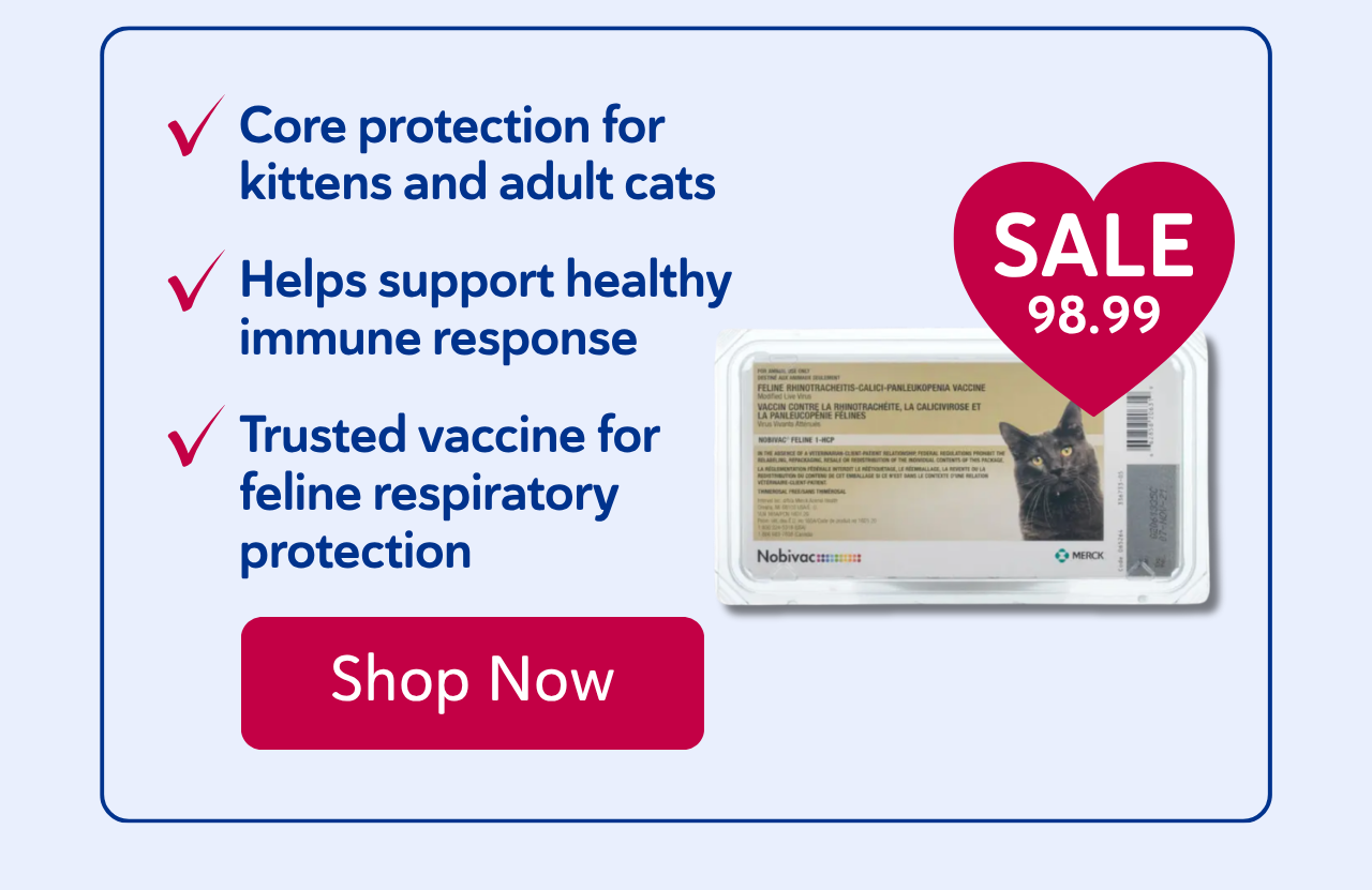 Nobivac® Feline 1-HCP