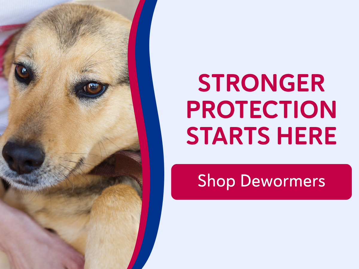  Shop Dewormers