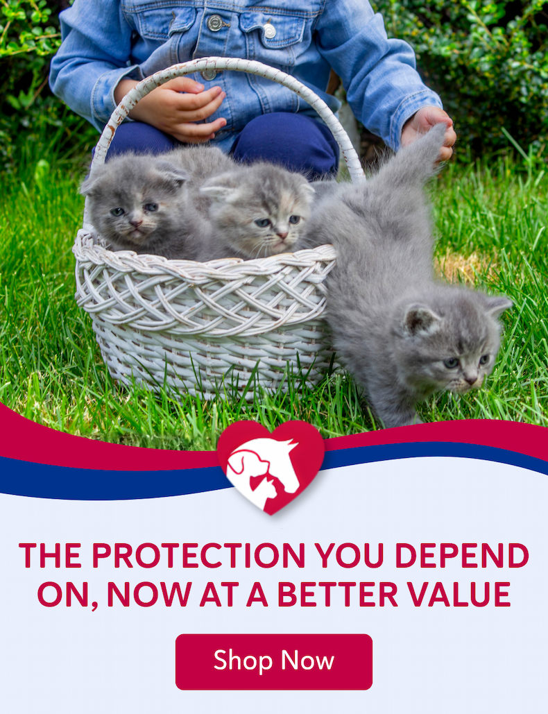 The protection you depend on, now at a better value