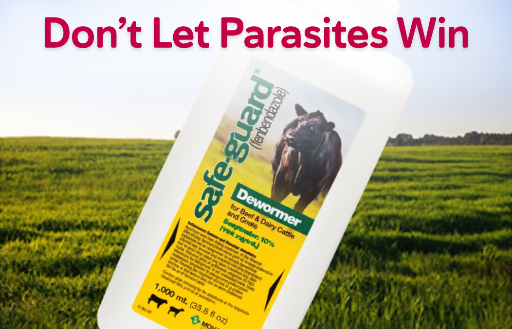 Small animal dewormers
