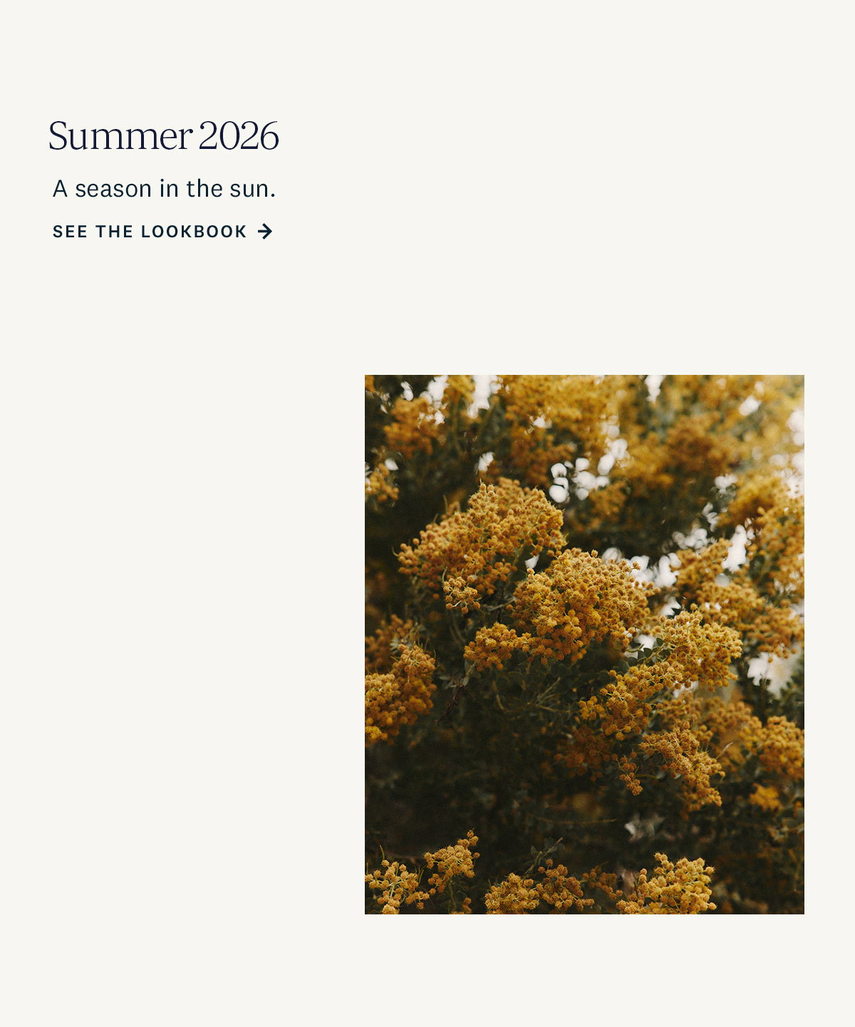 Summer 2026. A season in the sun. See the Lookbook