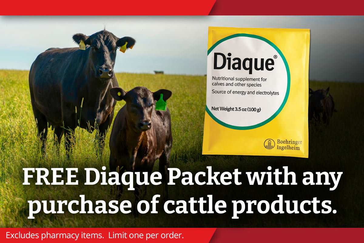Free Diaque Packet with any purchase of cattle products
