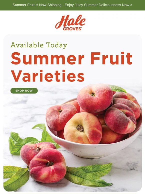 🍑 Now Shipping: Summer Fruit at Peak Perfection