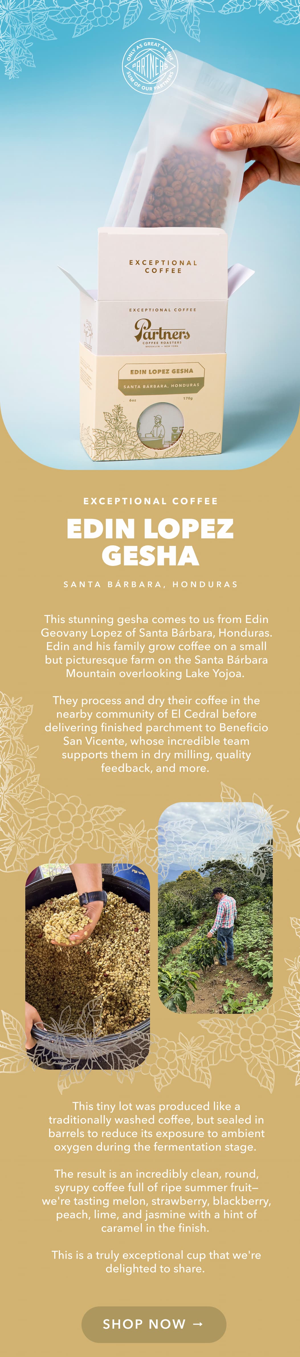 Shop Honduras-Edin Lopez Gesha Now