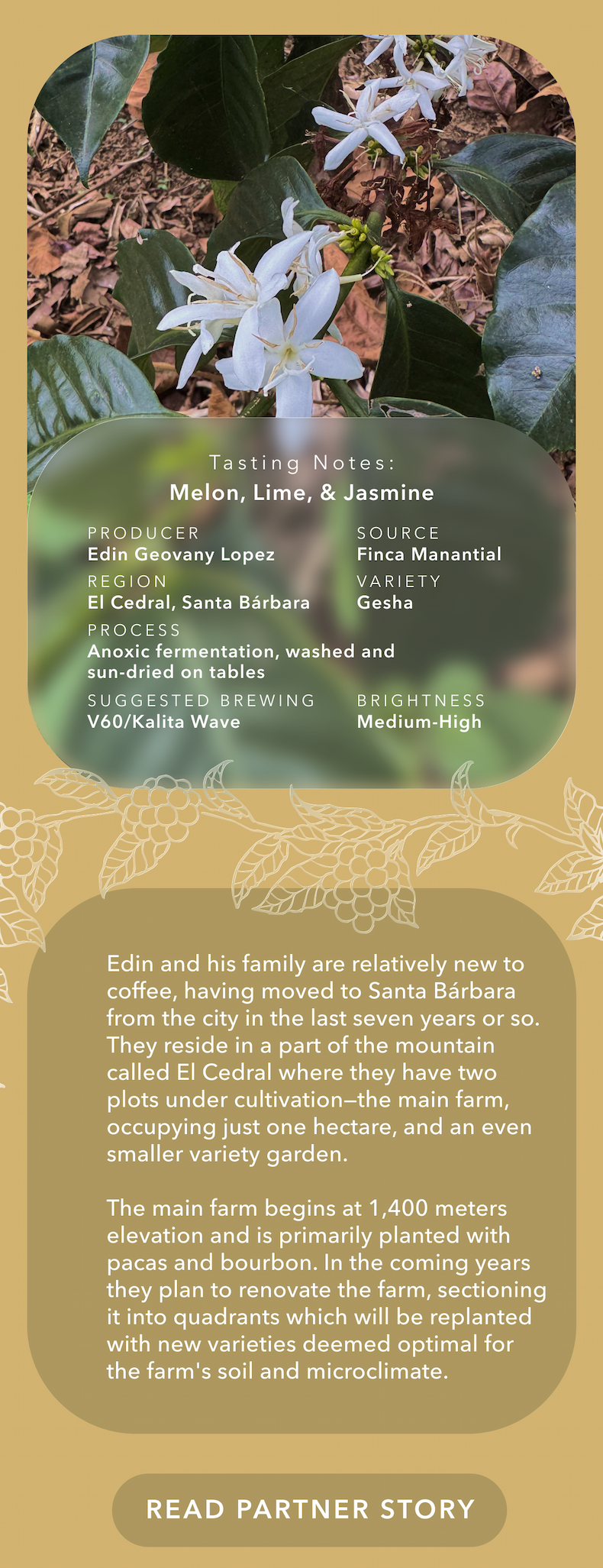 Read Partner Story-Edin Lopez