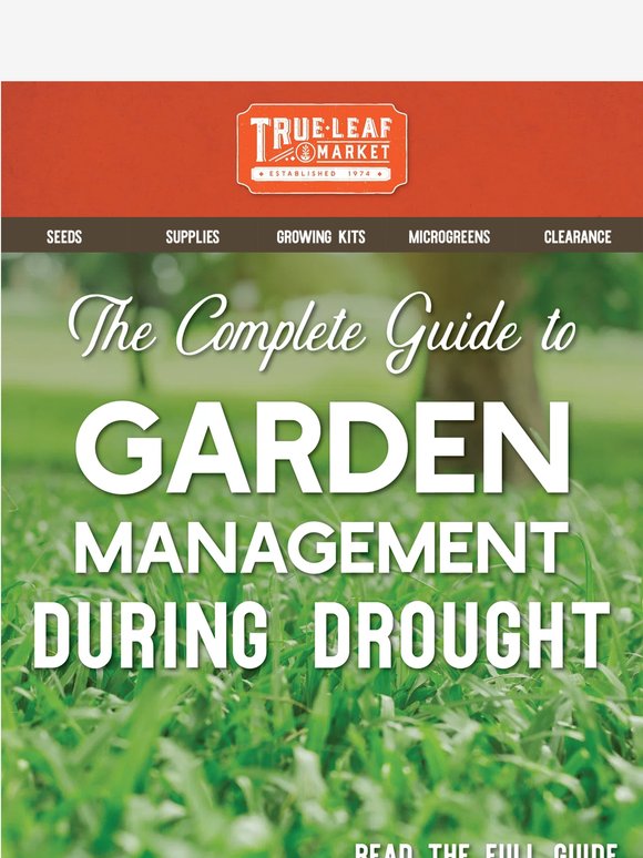 Your drought survival guide starts here