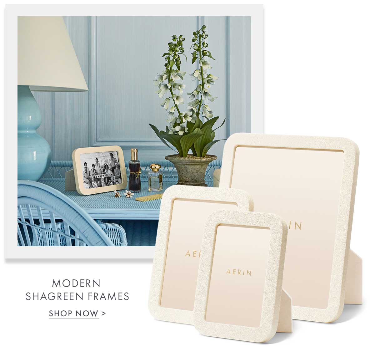 Modern Shagreen Frames
