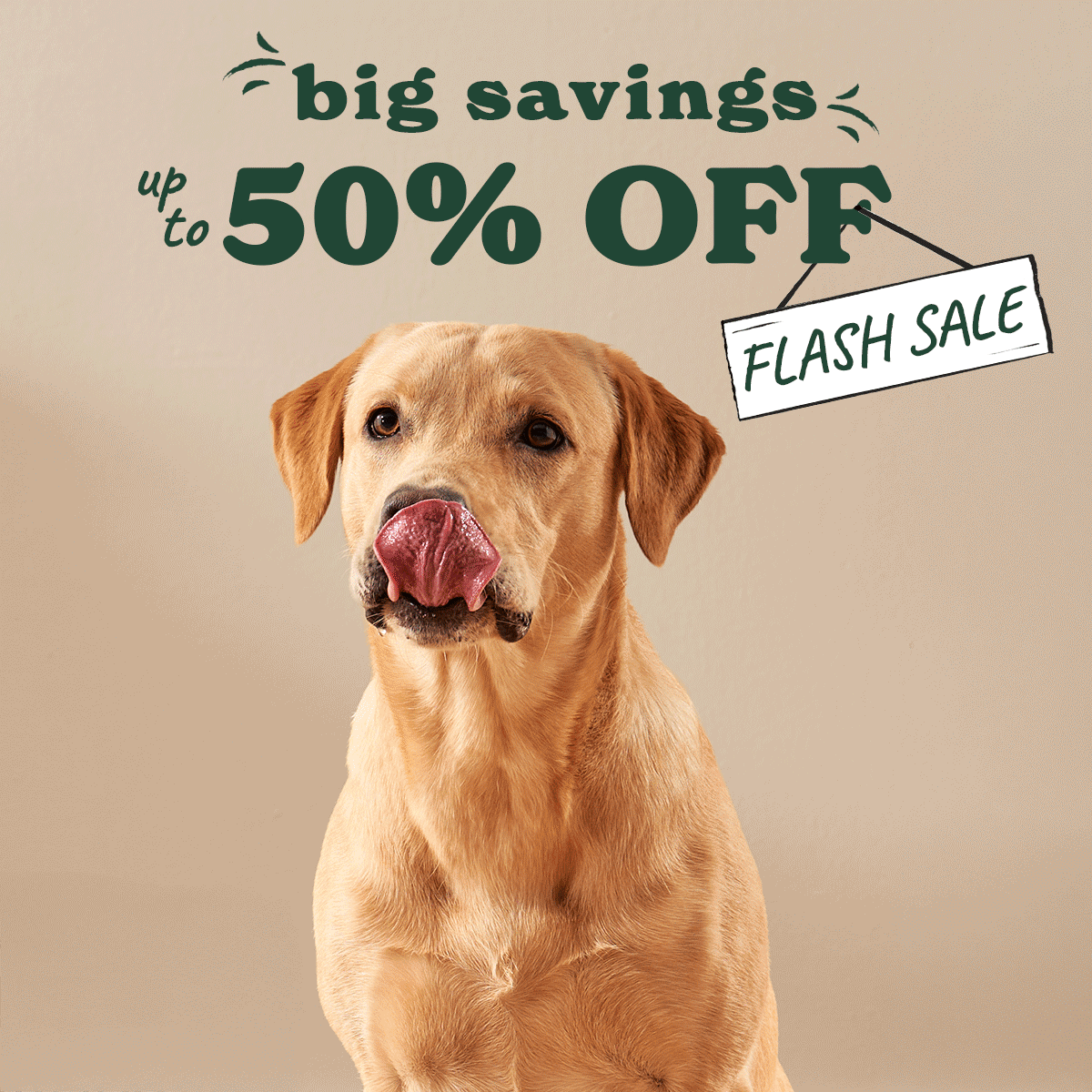 up to 50% off sitewide sale