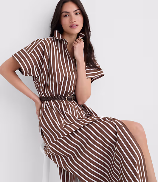 Striped Poplin Maxi Pocket Shirtdress