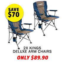 2 x Deluxe Arm Chair