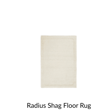 Shop Radius Shag Floor Rug