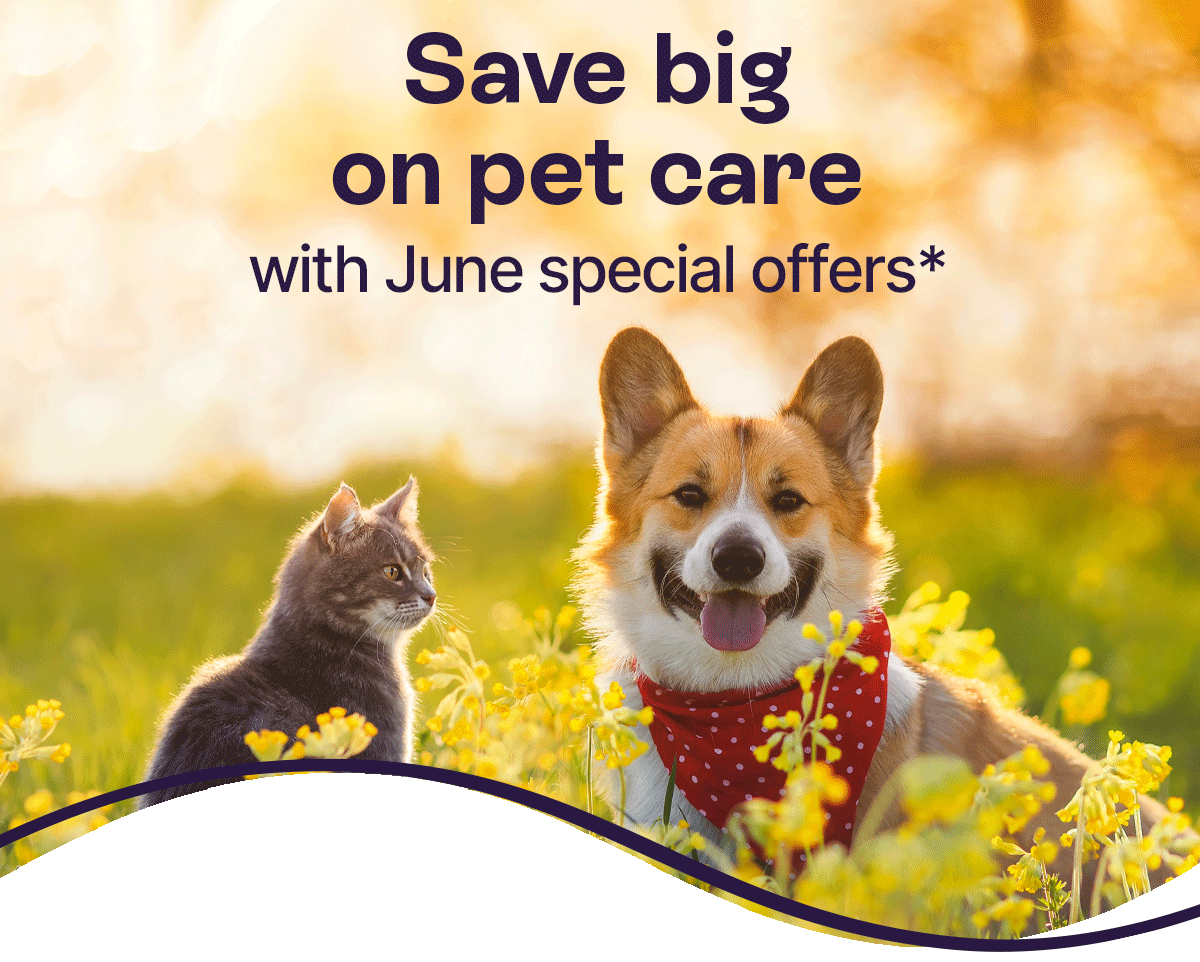 Save big on pet care June special offers