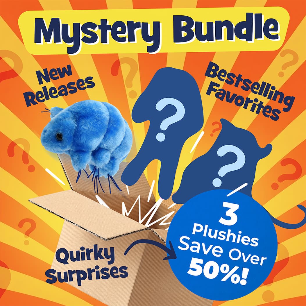 Mystery Bundle 3 pack