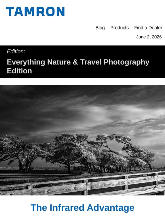 Everything Nature & Travel Photography