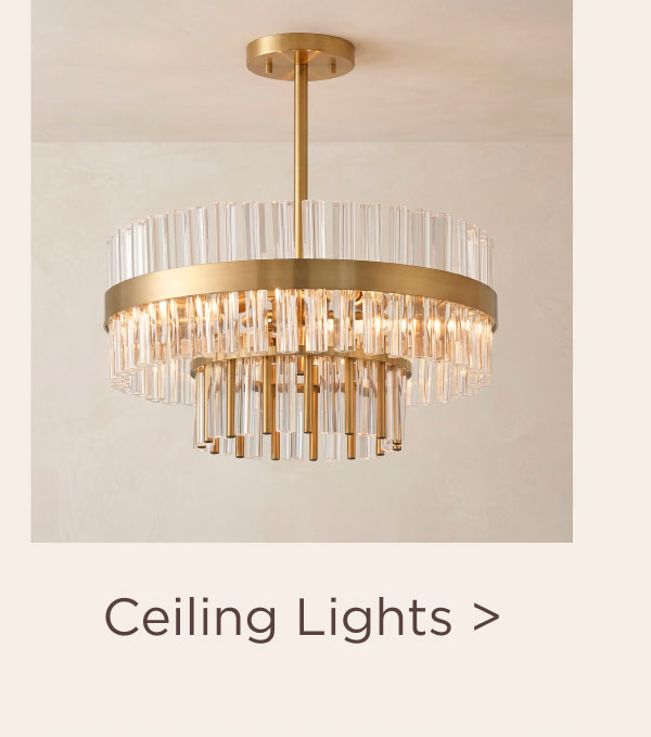 Ceiling Lights >