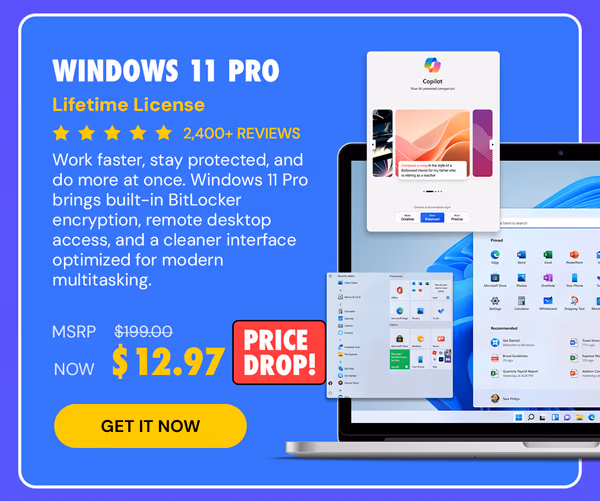 Microsoft Windows 11 Pro