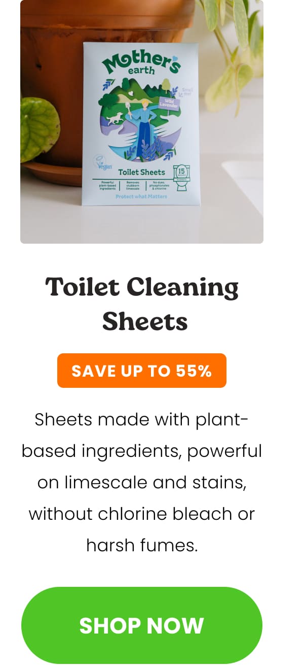 Toilet Cleaning Sheets