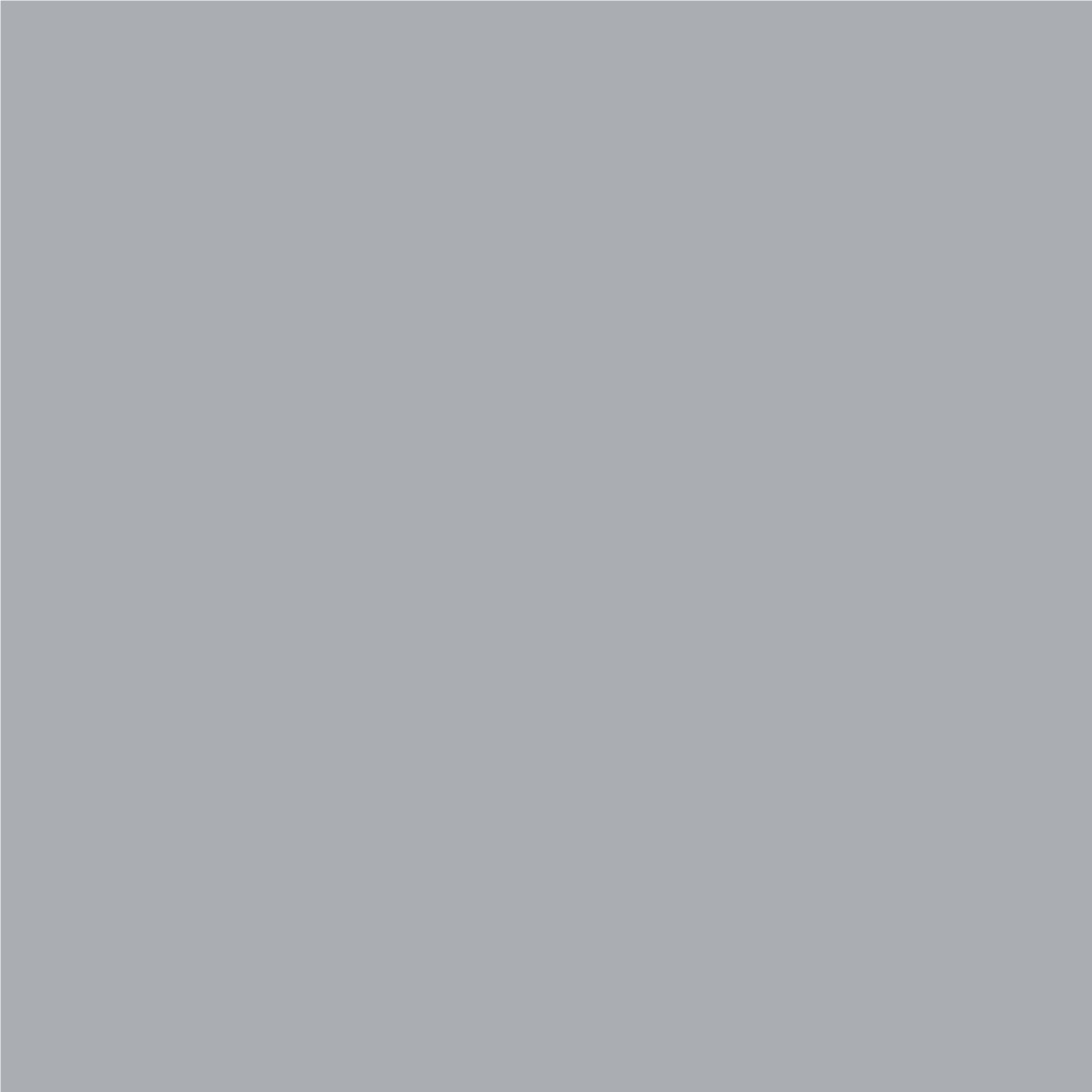 A dark grey paint swatch.