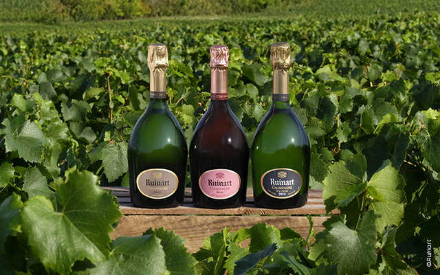 Ruinart: three centuries of expertise and excellence to explore