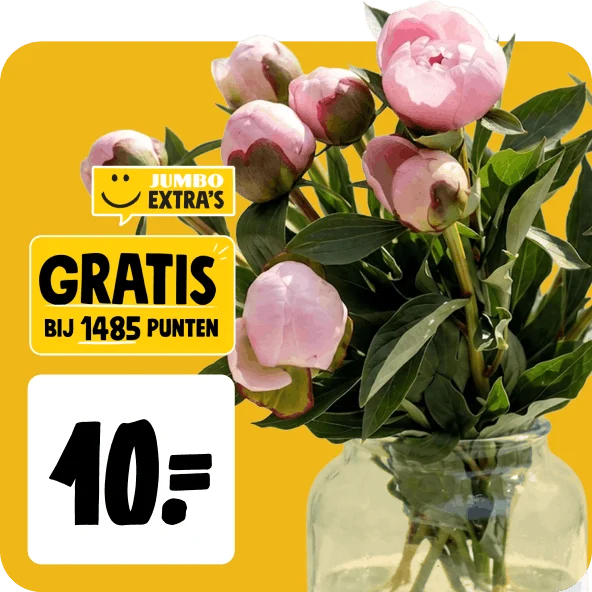 9 juni opa en omadag