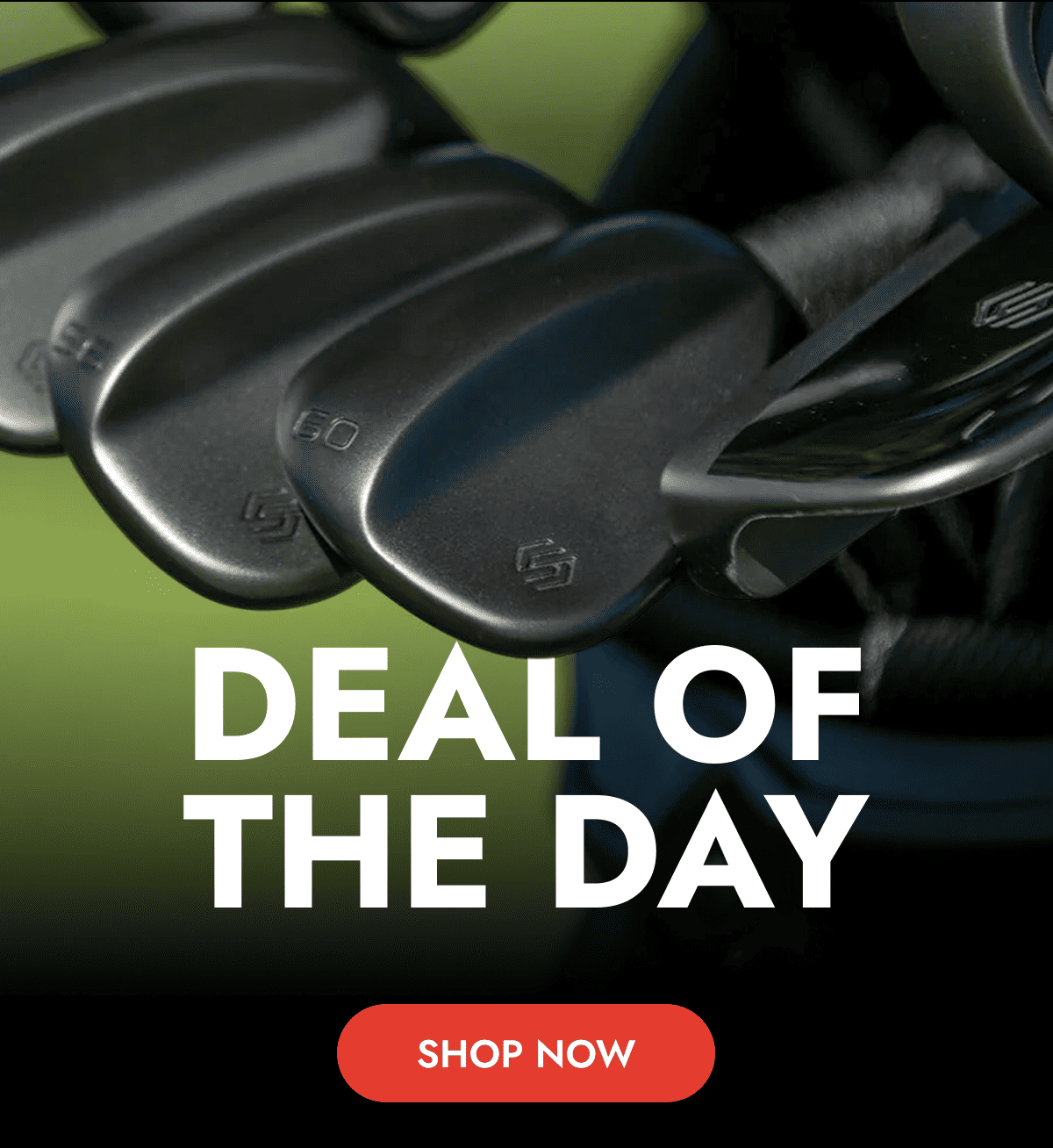 DEAL OF THE DAY