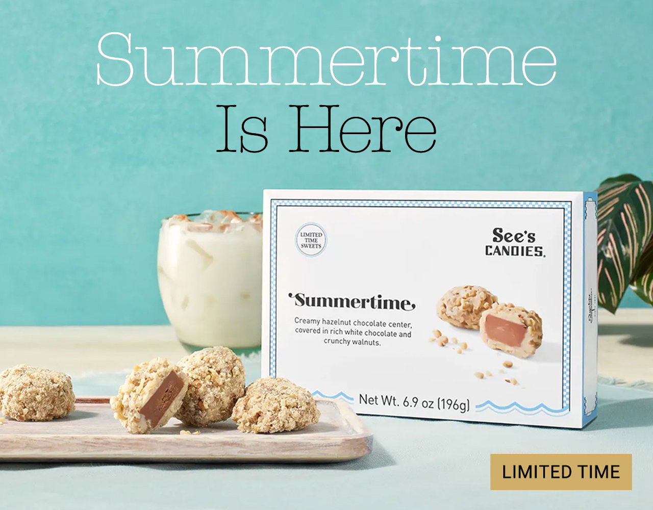 Summertime Is Here - Limited Time