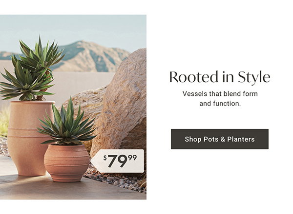 Rooted in Style: Shop Pots & Planters