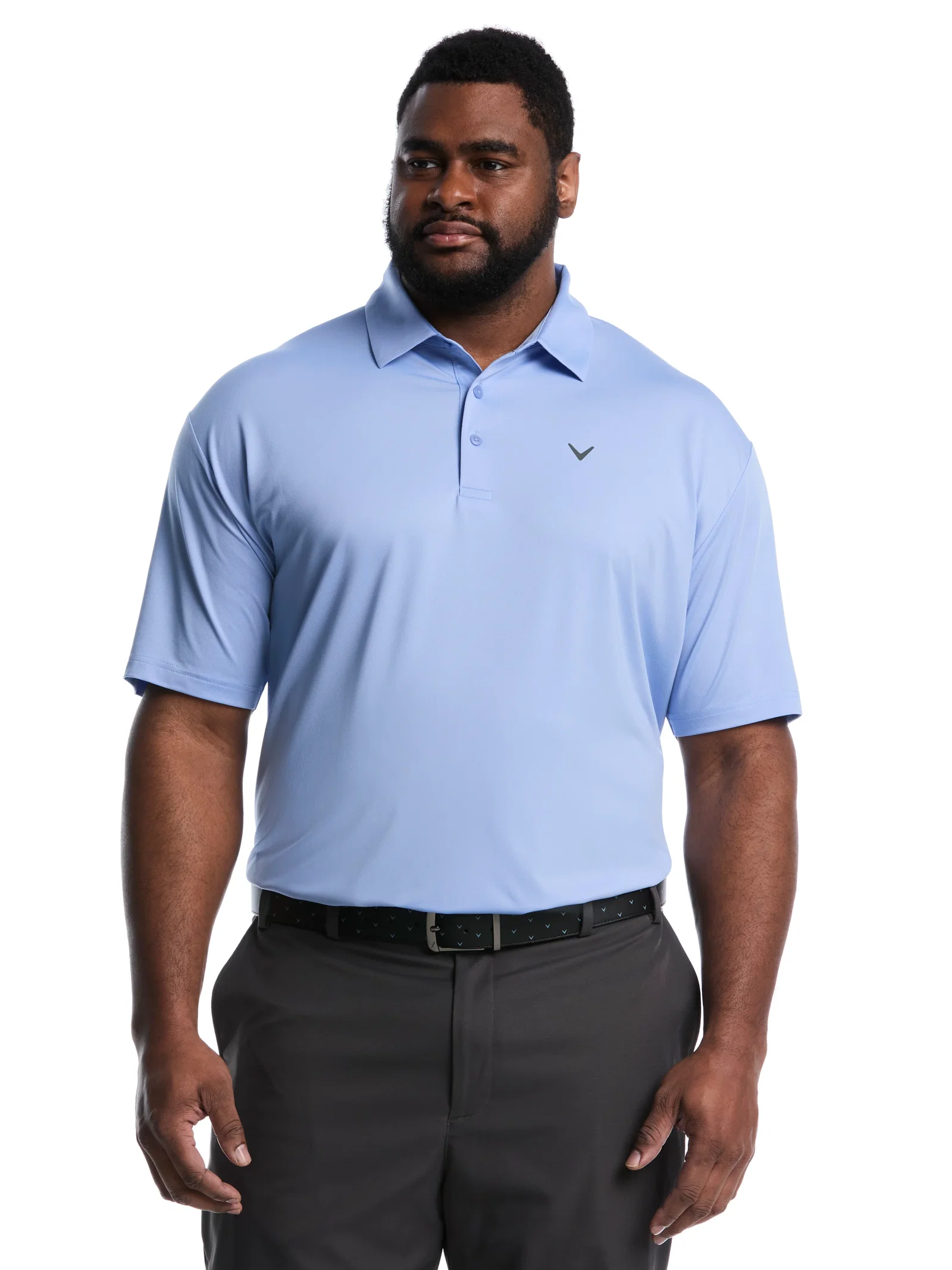 Image of Big & Tall Micro Hex Polo