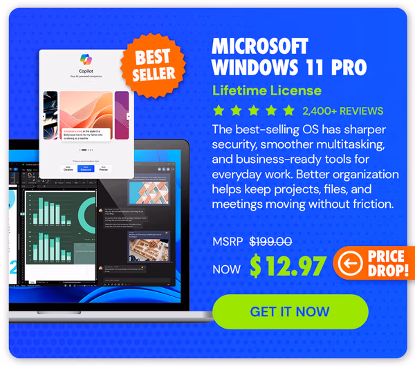 Microsoft Windows 11 Pro