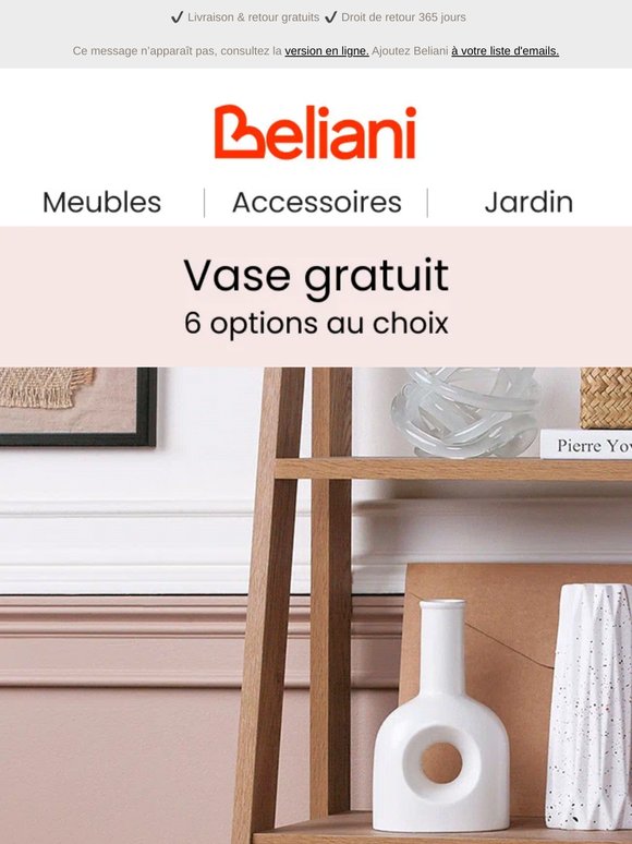 Vase gratuit : 6 options au choix 🎁
