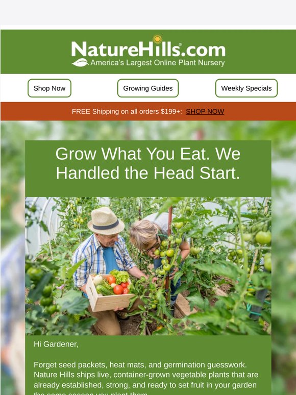 Get Growing: Shop Established Veggie Plants!