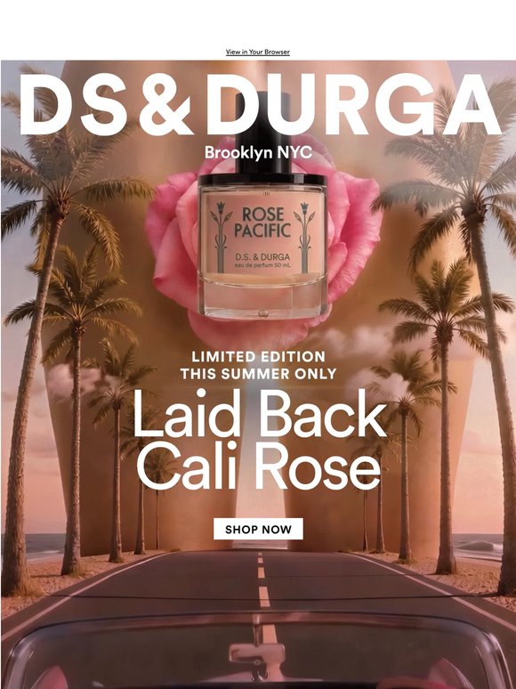 New Summer Limited Edition Rose
