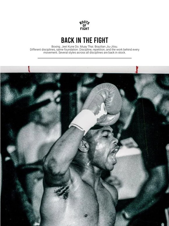 The Fight Disciplines
