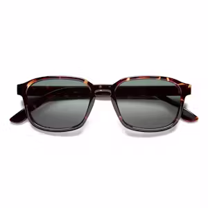 Sunseekers Sunglasses