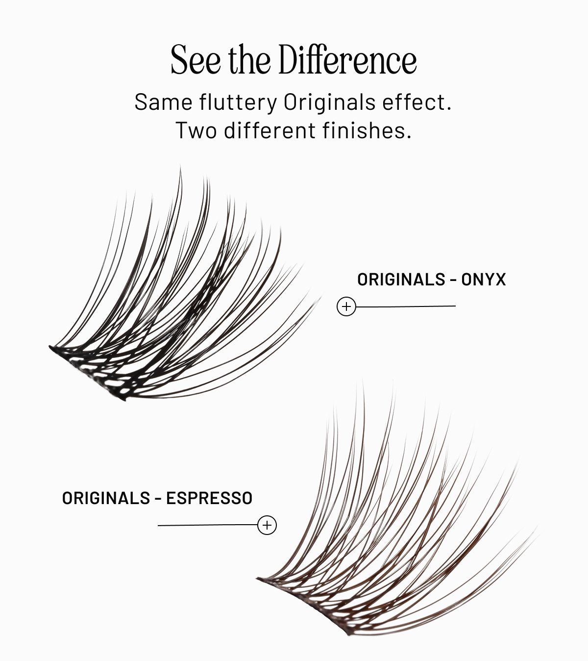 See the Difference