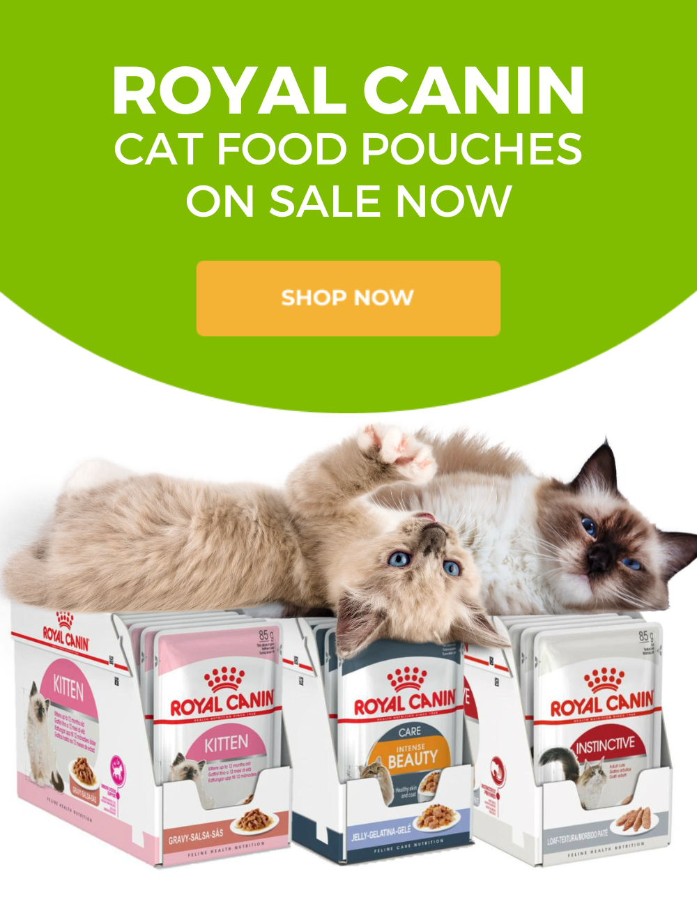 Royal Canin cat pouch sale