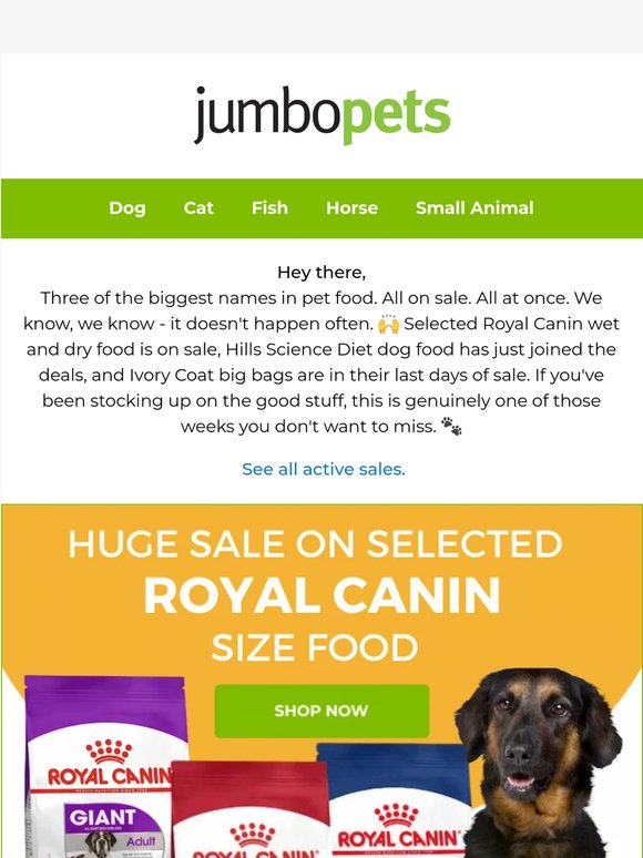 Royal Canin. Hills. Ivory Coat. All on sale. At once. 🙌