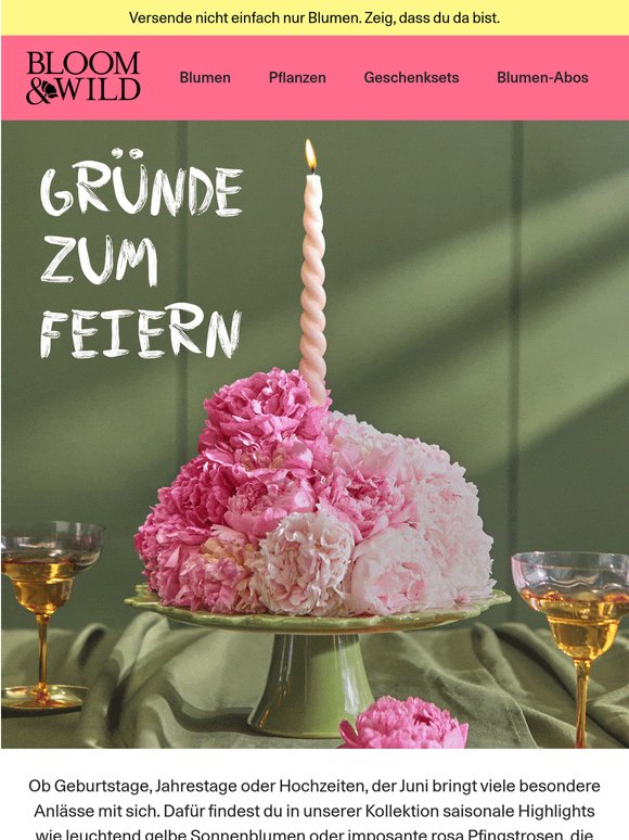 Für besondere Momente im Juni ☀️