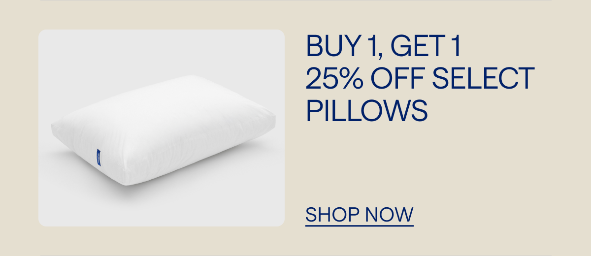 Buy 1, Get 1 25% off select pillows