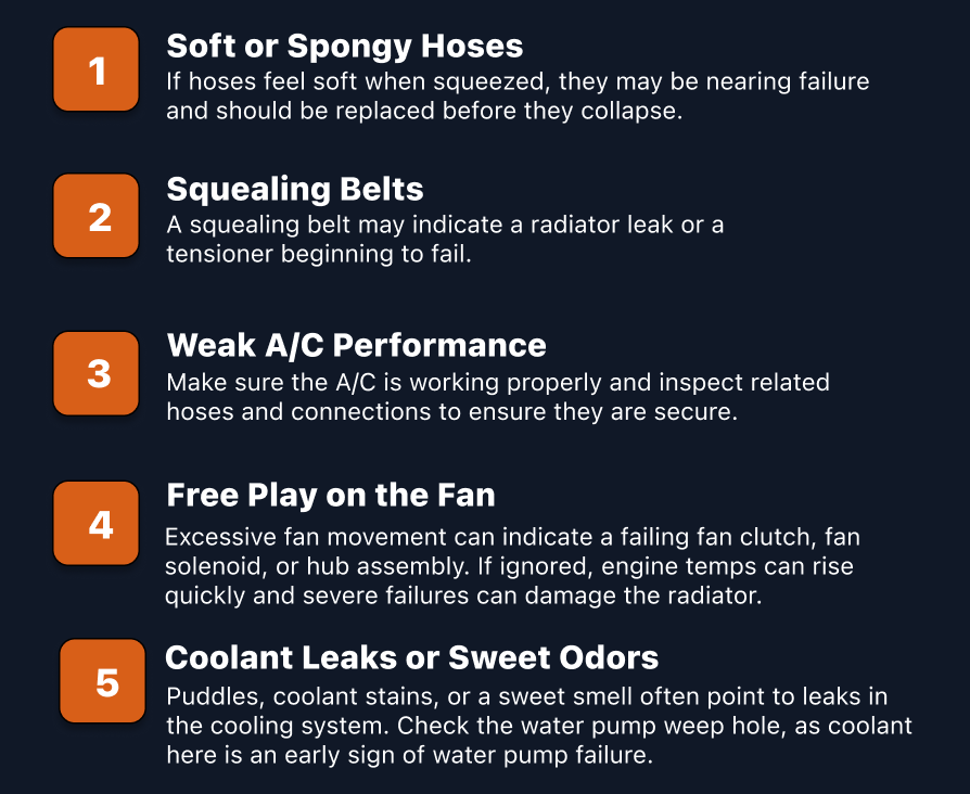 THE 5 WARNINGS SIGNS TO WATCH BEFORE SUMMER. 
