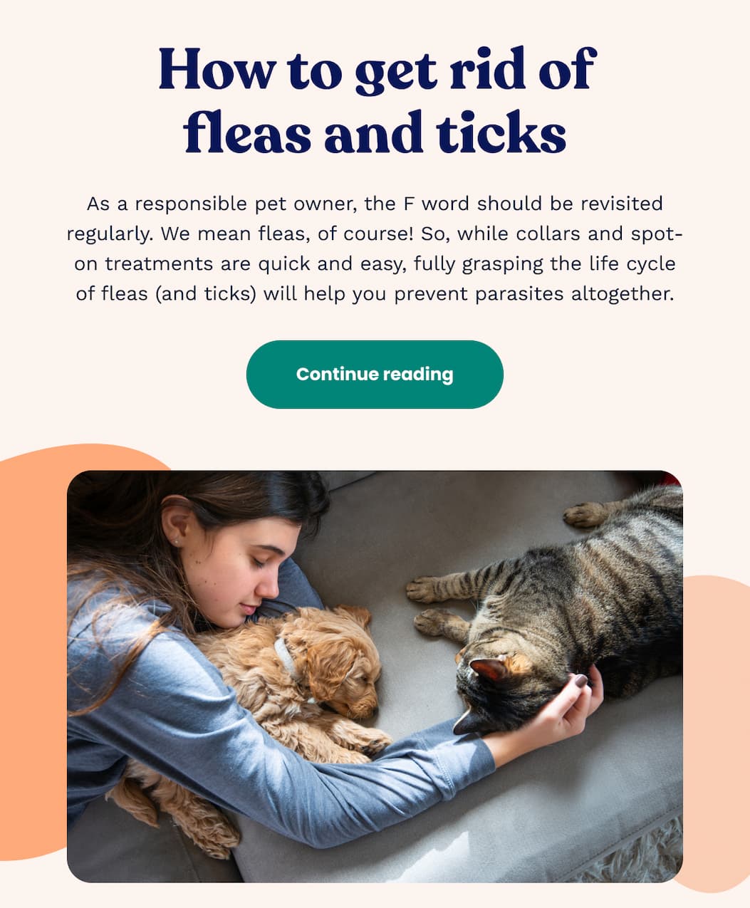 How to get rid of fleas and ticks