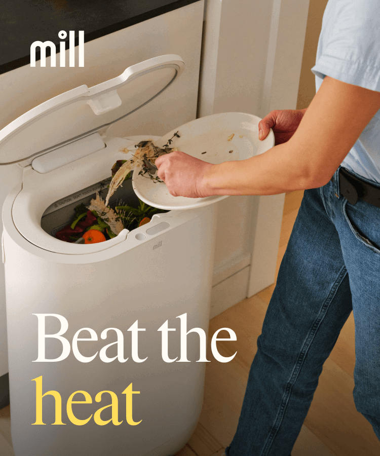 Beat the heat