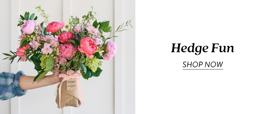 A hand holds a burlap-wrapped bouquet filled with pink peonies, pink accent flowers, green hydrangea, and greenery next to text reading “Hedge Fun” and “Shop Now.”