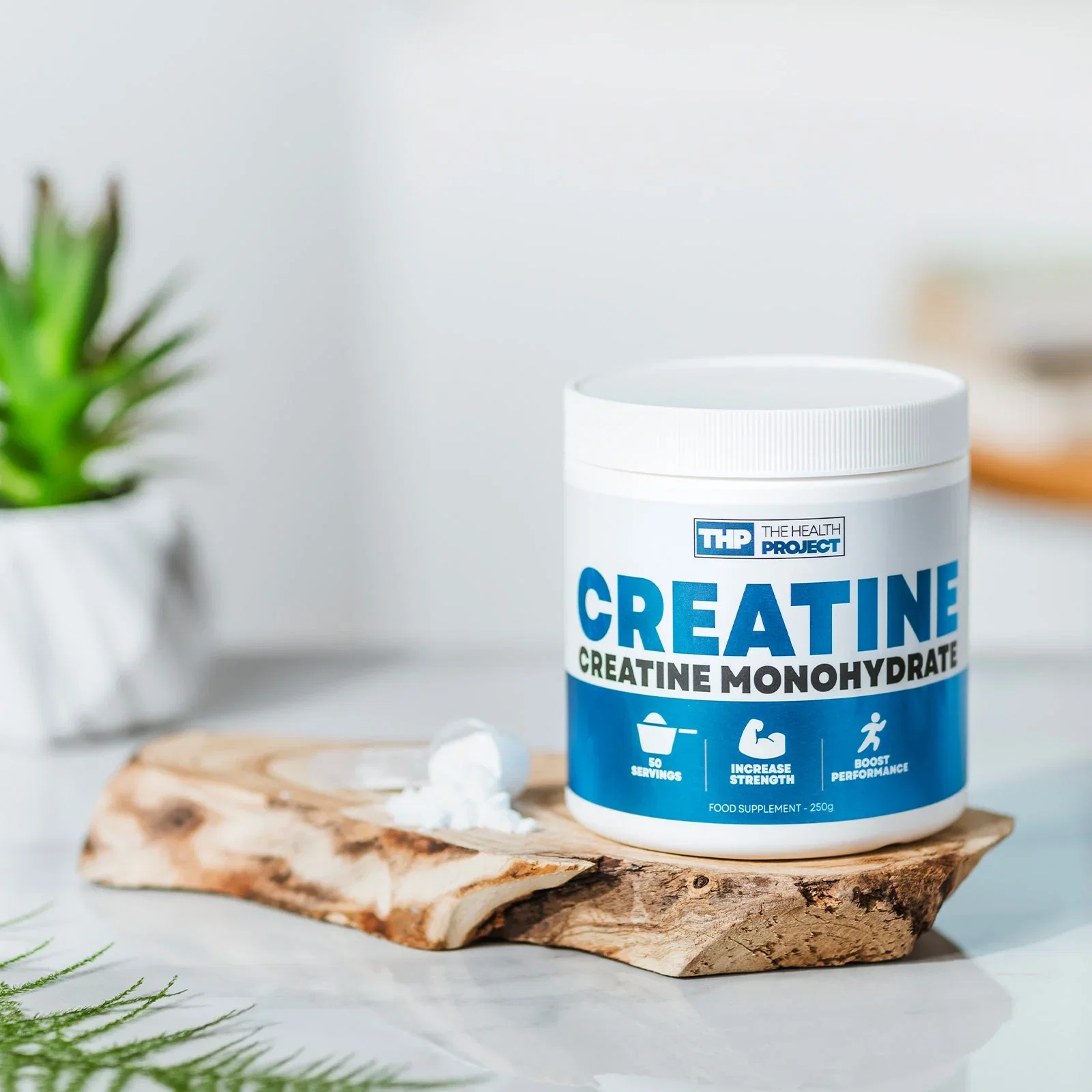 Image of The Health Project Creatine Powder 250g